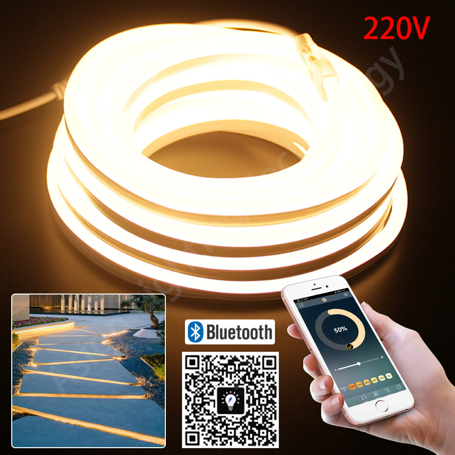 Lighting Decoration Ideas - LED Neon Strip 220V 2835 120