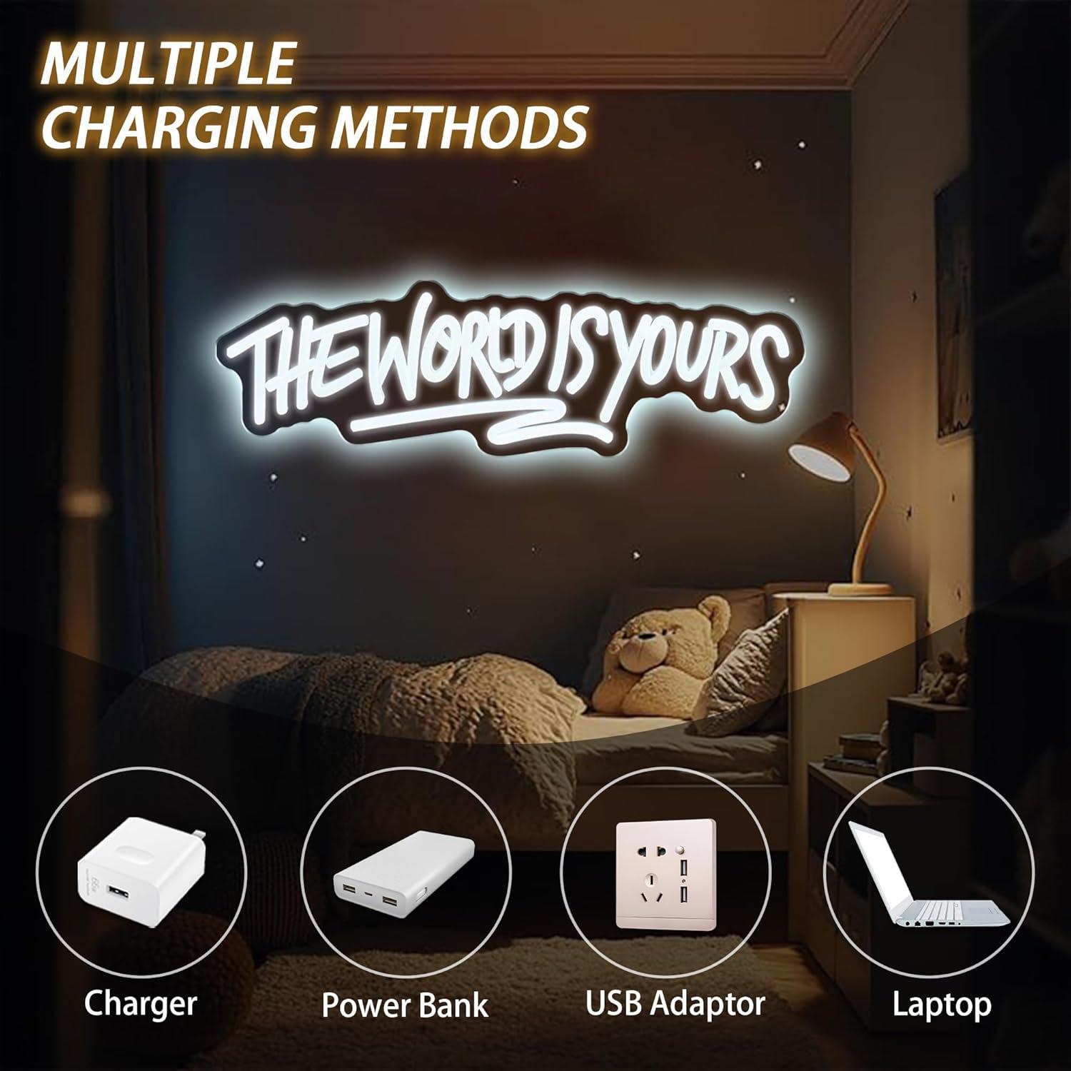 The World is Yours Neon Sign U - Led Lighting Wall Decor recension och pris